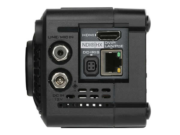 Datavideo BC-15PN 4K NDI-HX POV Camera - Image 3