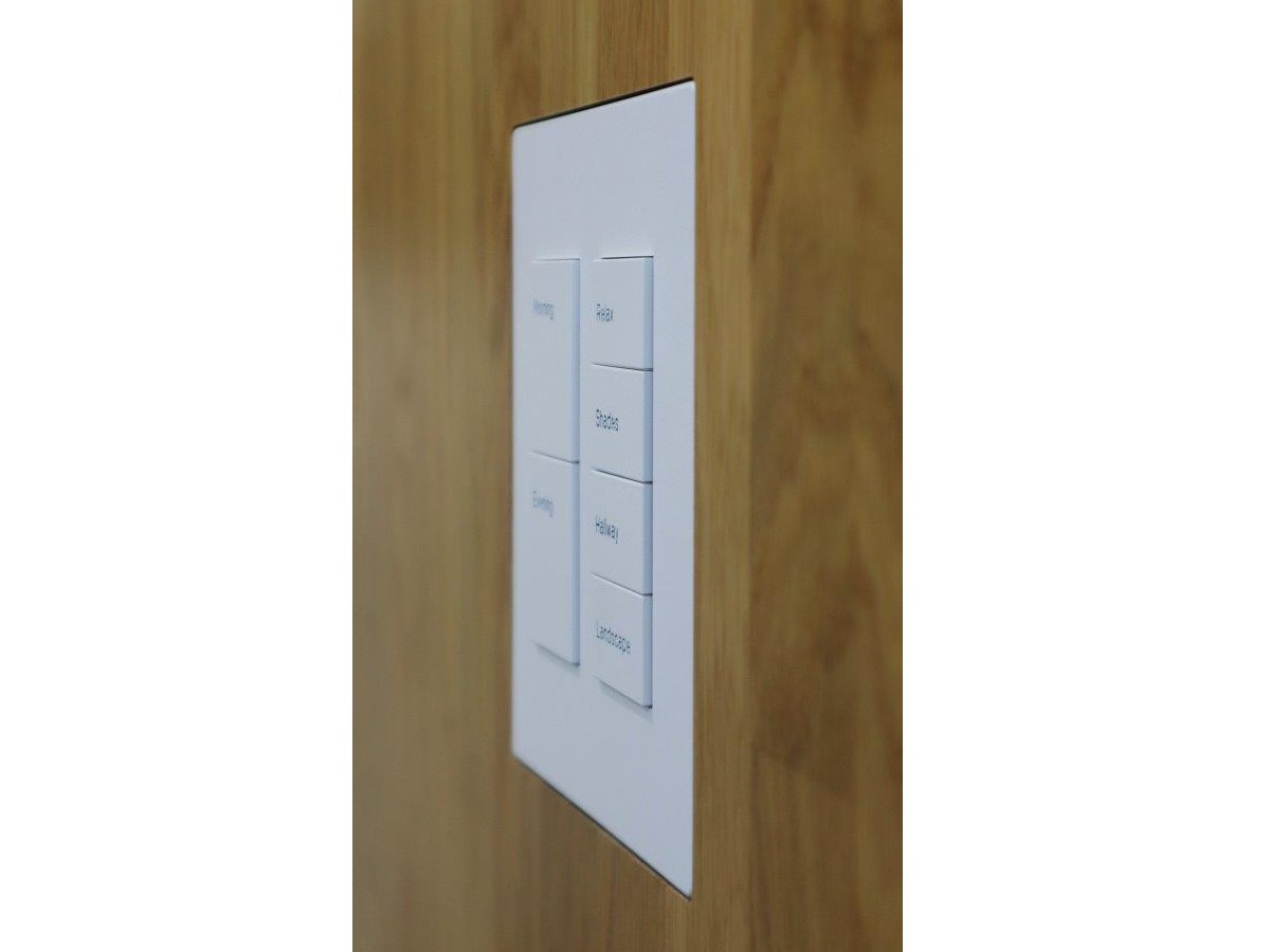 Wall-Smart 028-1-907 Solid Surface Mount for Savant Ascend WFB-2Gang - Image 5